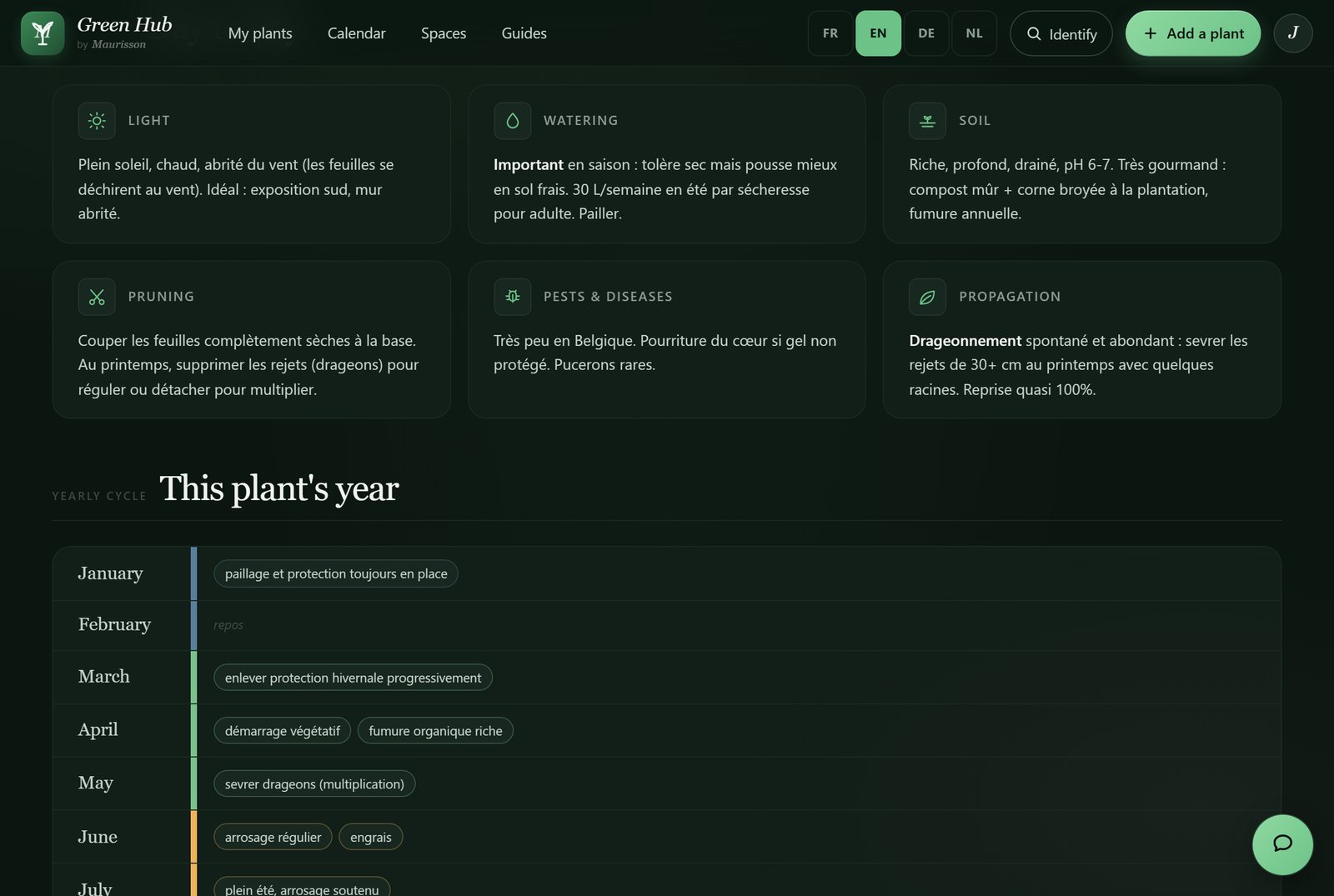 The care sheet: light, watering, soil, pruning, diseases, propagation.