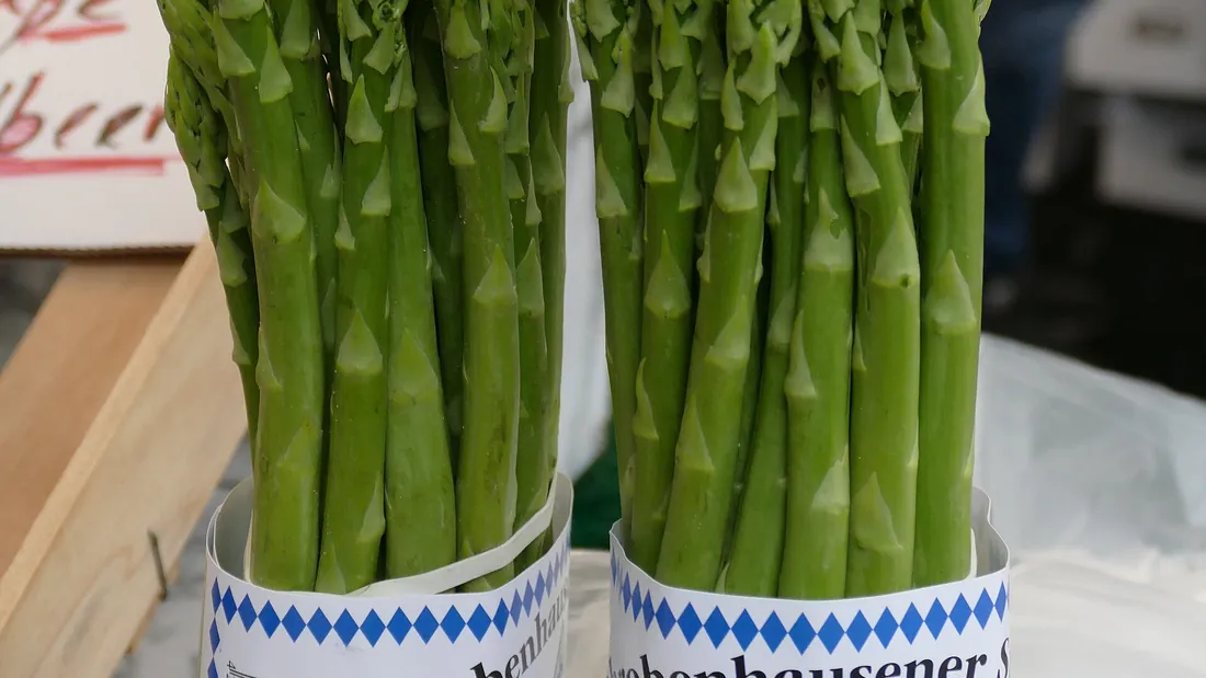 Bottes d’asperges vertes serrées et dressées, pointes fermées, sur un étal de marché
