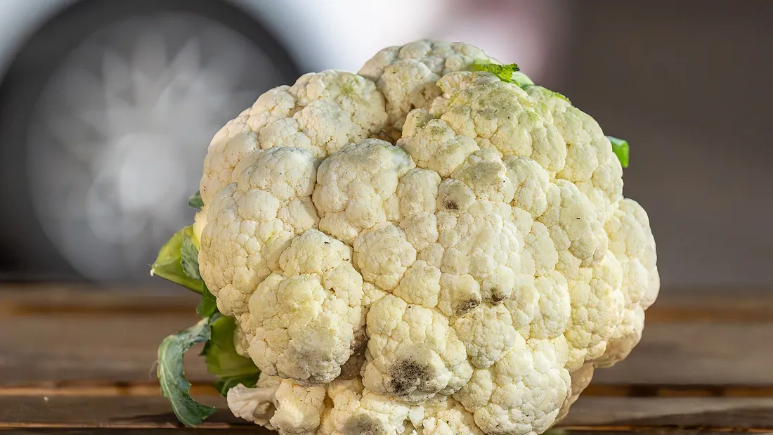 Weißer fest geschlossener Blumenkohlkopf, noch von seinen grünen Blättern umgeben, auf einem Brett