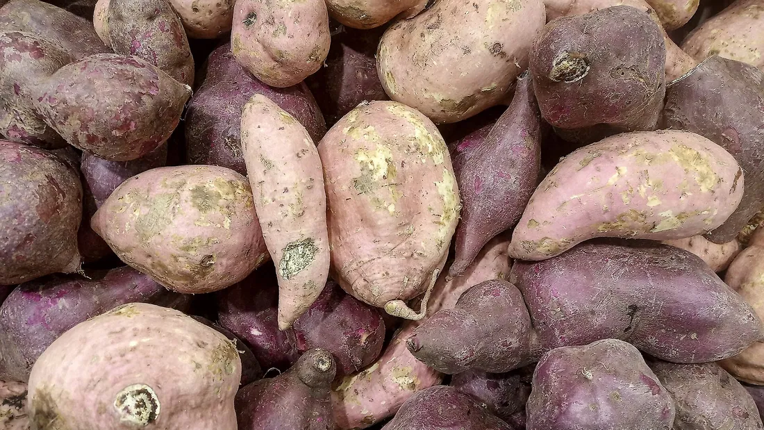 Tas de patates douces à peau violacée, tubercules allongés et irréguliers